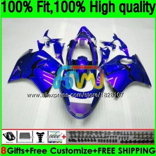Blue flames CBR1100 XX For HONDA Blackbird CBR 1100XX 02 03 05 06 07 132BS.66 CBR1100XX 2002 2003 2004 2005 2006 2007 Fairings
