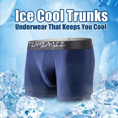 PLAYEAGLE Mens Silk Briefs