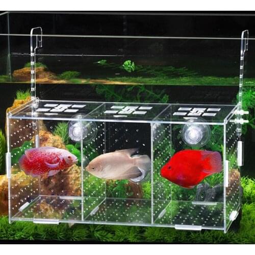 Large Size Small Fish Isolation Box Acrylic Double Grid Breeding Box Hook Type Aquarium