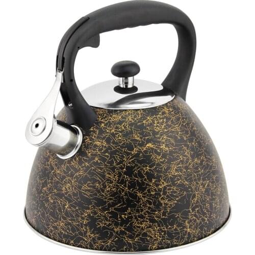 Hausroland Whistling Kettle Golden Thread for all StovetopStainless Steel Teapot 1 order