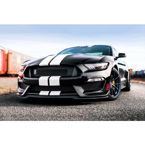 Ford Mustang Shelby GT350 Muscle Car Sportscar Posters Canvas Fabric Print Wall Art Home Decor Paintings