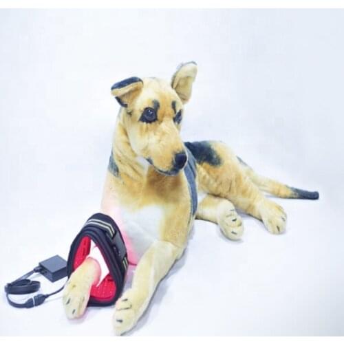 Veterinary Laser Surgery