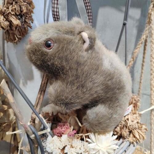 18-28cm Simulation Wombat Stuffed Doll Plush Toy Wild Animal Guinea Pig Cavia Porcellus Mouse Dolls for Baby Kids Children Gifts