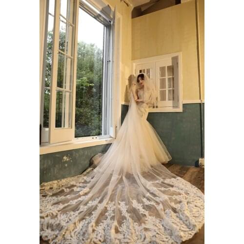 2021 Luxury Sparkling Lace Cathedral Bridal Veils 2 T Long 3.5 Meters Nature White Tulle With Comb Wedding Veil Voile Mariage