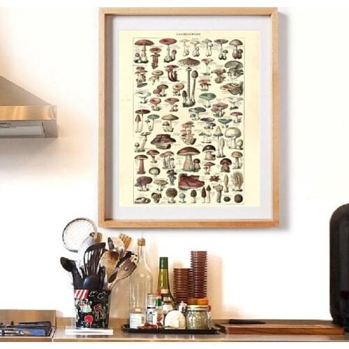 Antique Botanical Prints Vintage Mushroom Poster French Version Educational Wall Art Canvas Painting Picture Home Wall Decor