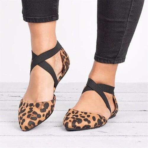 Spring And Autumn Flat Shoes 2019 New Ladies Fashion Pointed Toe Flat Leopard Casual Sandals Single Shoes Outdoor Slip On Flats