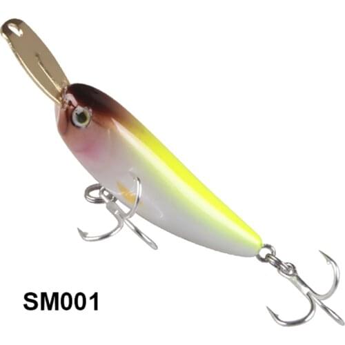 Hard Baits Sinking Pencil Fishing Lure Illex Riser Bait Small Metal Lip Wobbler Jerkbait Minnow 40/70mm Fishing Bass Trout