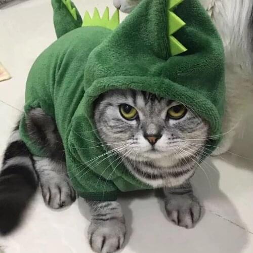 Puppy Dog Cat Funny Dinosaur Costume Winter Warm Plush Cat Coat Fleece Hoodies Sweater Small Dog Kitten Clothing Pet Cat Clothes
