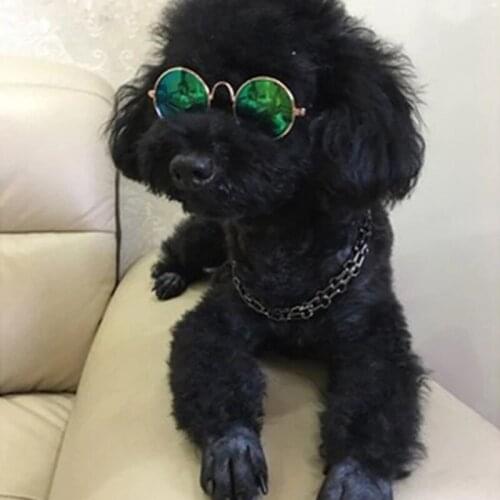 1Pcs Hot Sale Dog Pet Glasses For Pet Products Eye-Wear Dog Pet Sunglasses Photos Props Accessories Pet Supplies Pet Accessories