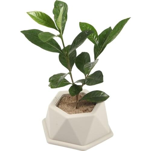 New Silicone Mold Terrace Shape Concrete Fleshy Flower Pot Candlestick Mold Ceramic Clay Handmade 3D DIY Crafts Ceramic Mold