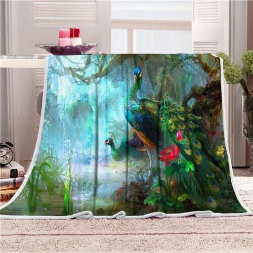 Shincoo Plush Blankets