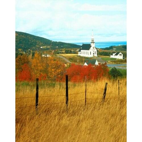 5x7ft Fall Yellow Grass Tree House Photography Backdrops Photo Props Studio Background