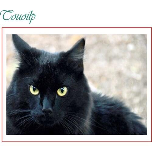 Sweet Life New DIY Diamond Painting Black Cat needlework Cross Stitch Kits Animal Painting Hobby crafts Rhinestones Decoration