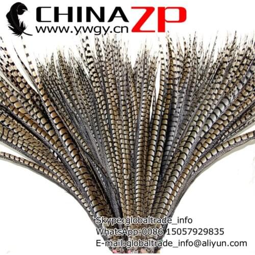 Leading Supplier CHINAZP Factory 50pcs/lot 90-100cm(36-40inch) Good Quality Natural Lady Amherst Pheasant Tail Feathers
