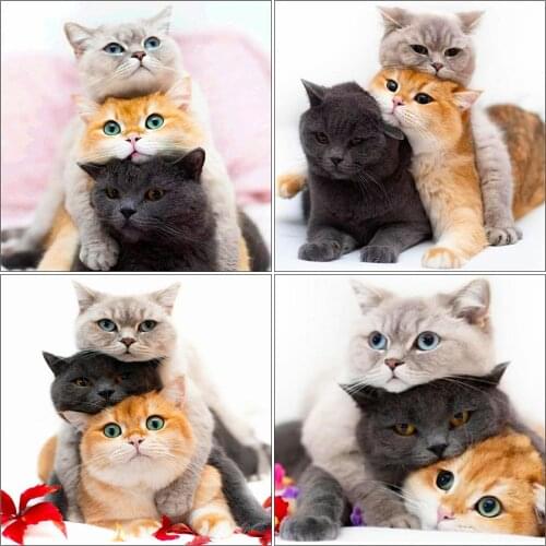 Evershine 5D DIY Diamond Embroidery Cat Full Square Round Diamond Painting Animals Mosaic Rhinestone Home Decoration