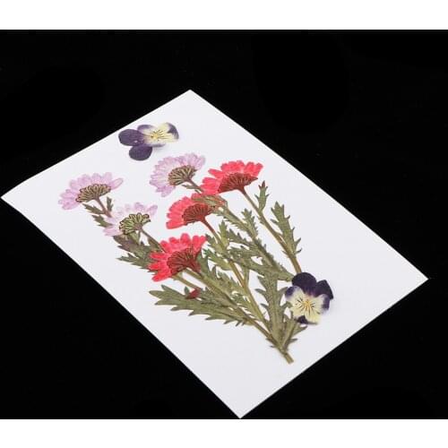 25-Packs Natural Dried Flowers Real Press Dry Flower Petals Pressed Leaves for