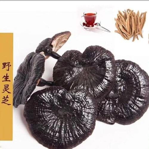 250g-500g Changbai Mountain wild Ganoderma lucidum