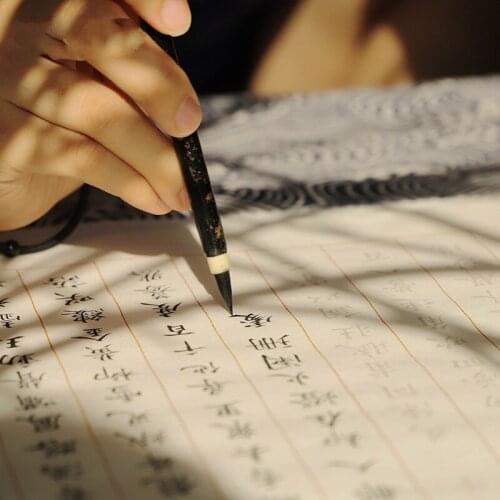 Tang Poem Song Ci Copybook Small Regular Secript Calligraphy Tracing Ripe Flowers Rice Paper Soft Brush Pen Practice Copybook