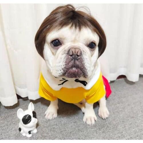 Pet Wigs Cosplay Props Funny Dogs Cats Crossdressing Hair Hat Costumes Head Decoration for Halloween Christmas Puppy Accessories