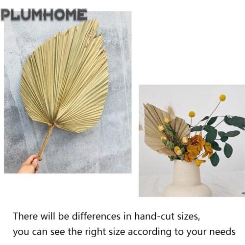 Popular Natural Dried Flower Palm Leaf Spear Wall Hanging Wedding Arch Home Decor Vintage Nature Dried Palm Party Photo DIY Tool