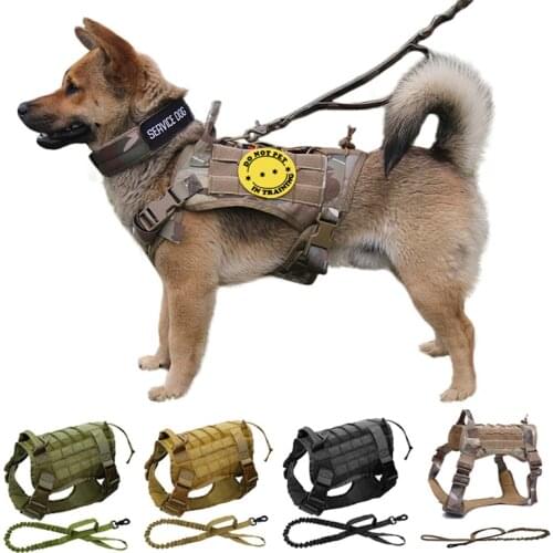 Arnes Perro Grande Correa Dog Harness And Leash Set Military Szelki Dla Psa Smycz Accessories Pet Pitbull Para Harnais Chien Pug