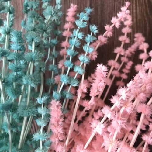 30g/35-42CM Decorative Dried Natural Flower Real Plant Motherwort Flowers Bouquet For Home Decor,DIY Floral Arrangement,Wedding
