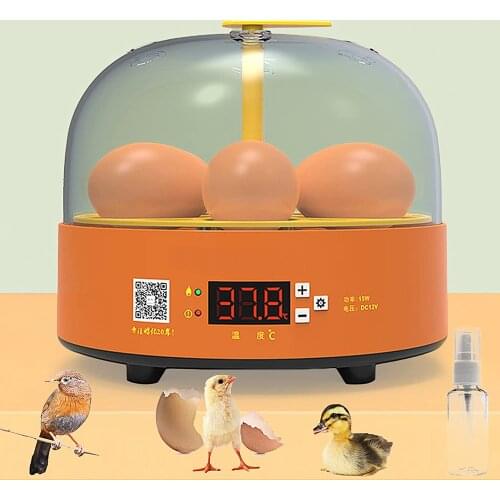 4pcs 3Inch Double Action Hinges Swing Spring Hinge Stainless Steel Gate Spring Hinge Door Furniture Cabinet Drawer Hardware Tool