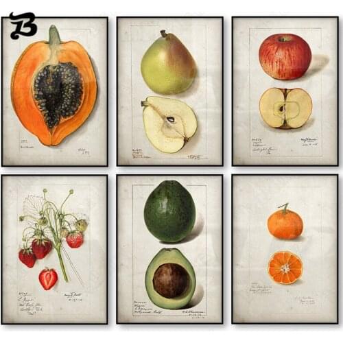 Fruits Poster Collections Antique Vintage Poster Pear Apple Orange Pineapple Wall Art Decorative Pictures Canvas Painting Decor