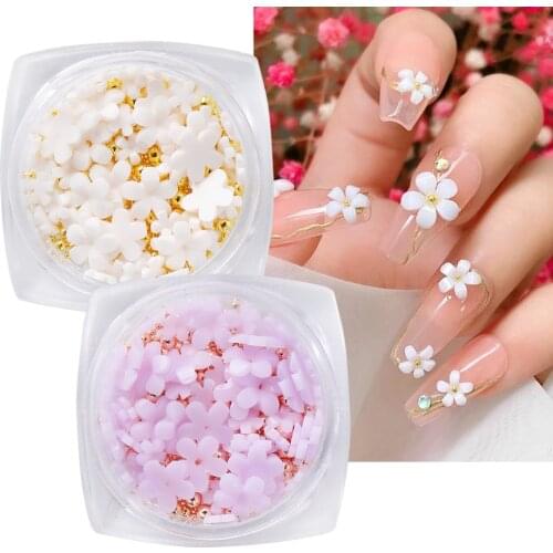 1 Box Flowers Petal Shape Nail Art Decorations Resin Mix Steel Beads Gold 3D Charms Nail Rhinestones Jewelry Manicure Tip TR1939