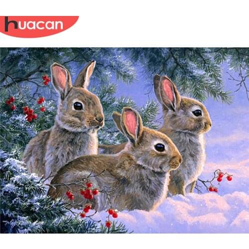 HUACAN 5D DIY Diamond Painting Rabbit Full Square Round Diamond Embroidery Animal Mosaic Picture Of Rhinestone Decor For Home