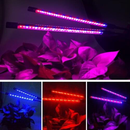 Full Spectrum 60 LEDs Phyto Lamp Dimmable 5V LED Grow Lights Double Tube Timing Function Indoor Plants Hydroponic Green House