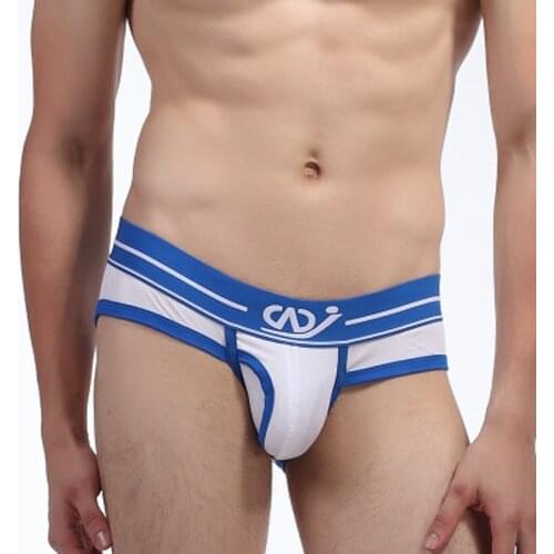 Men Underwear Briefs Gay Underwear Penis Pouch Mens Briefs Sexy Underwear Men Cotton Panties Fashion Low Waist Sexy Solid