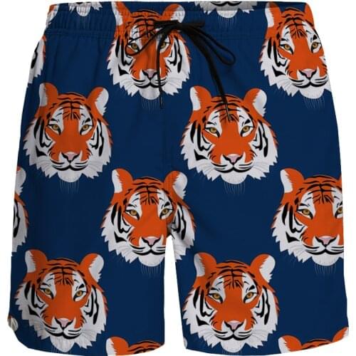 Shorts Men Cartoon Tiger Pattern Printing Fashion Shorts Breathable Quick Dry Surfing Beach Pants Running Casual Sports Shorts