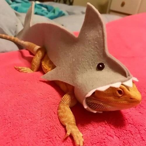 Felt Cloth Unique Cute Lizard Animal Costume Trendy Lizard Animal Costume Fine Workmanship for Small Pets