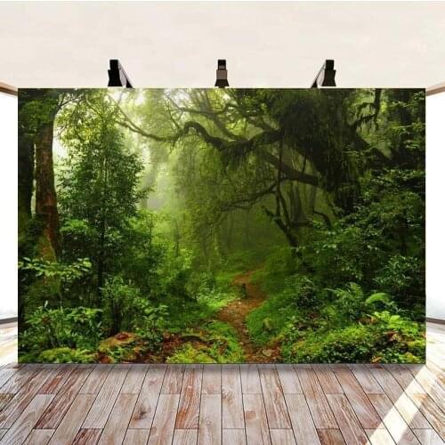 Green Forest Tree Path Beautiful Scenery Background Travel Picture Studio Photography Photo Poster Can Be Customized