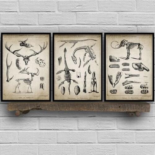 Dinosaur Elephant Deer Patent Vintage Print Animal Fossil Skeletons Canvas Art Poster Wall Pictures Chemistry Room Home Decor