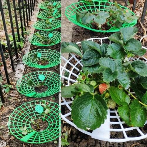 3pcs Garden Plant Support Strawberry Stand Frame Fruit Support Holder Pillar Balcony Planting Rack Flower Climbing Vine Pillar