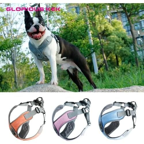 GLORIOUS KEK Dog Harness Choke Free X Step-In Soft Mesh Pet Harness 3M Reflective Dog Harness and Leash Set for Small Medium Dog