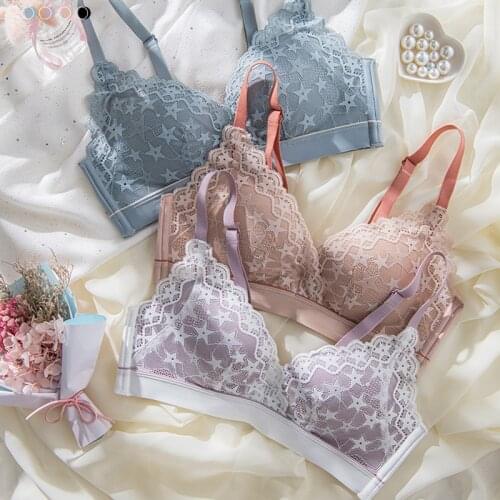 Wasteheart New Women Fashion Pink Blue Sexy Lingerie Bras Cotton Panties Lace Wireless Bra Sets Underwear A B Luxury