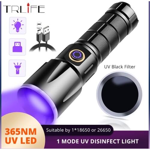 Strong 365nm UV Purple Light USB Ultraviolet Lanterna Invisible Torch Pet Stains Cat Moss Disinfect Lamp 1 Mode Ultra Violets