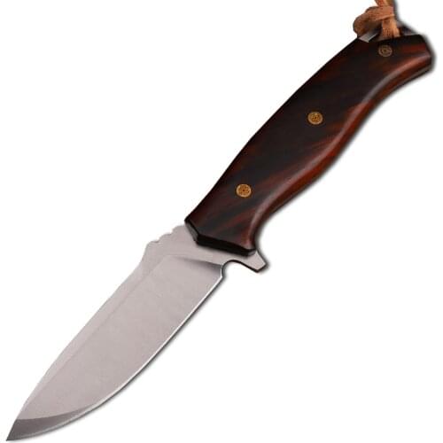 14C28N Blade Outdoor Camping Hiking Pocket Hunting Tactical Fixed Knife Customized Dalbergia Wood Handle EDC Tool