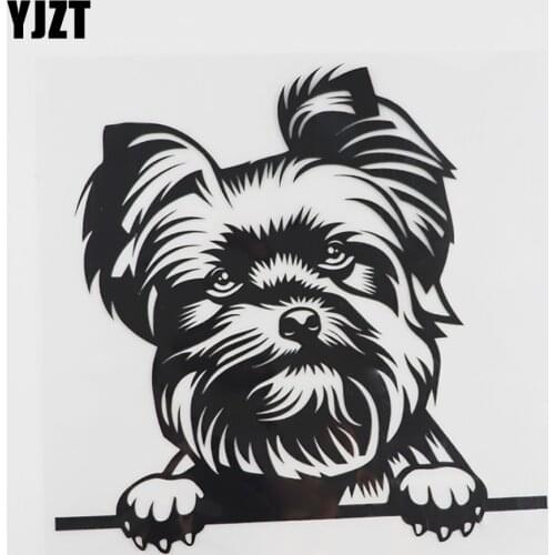 YJZT 16.6CMX16.5CM Cute Yorkie Dog Peeking Decal Vinyl Car Sticker Black/Silver 8A-0089