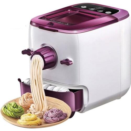 Small Household Electric Pasta Maker Dumpling Pasta Press Dough Mixer DIY Vegetable Noodle Press Machine