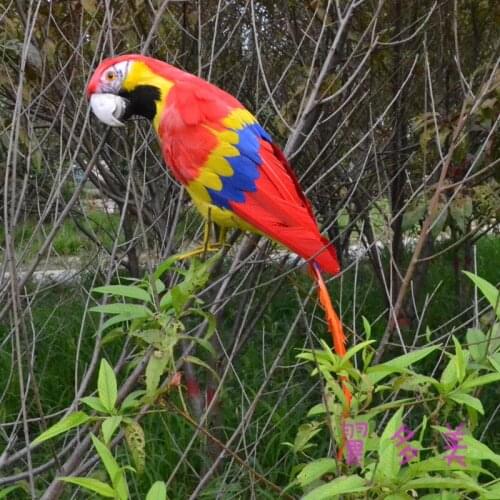 New beautiful Macaw toy polyethylene & furs simulation colourful Macaw doll gift about 42cm 1578