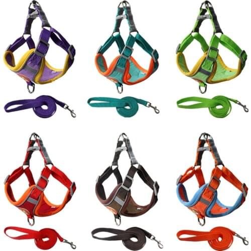 Qizbone Harnesses