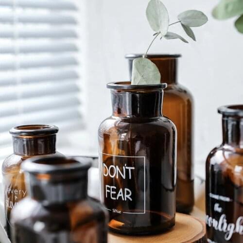 Scandinavian Plant Glass Vase Dried Flower Brown Bottle Ins Vogue Home Decoration Desk Floral Storage Container Jar