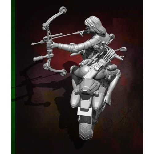 Wong Work Unpainted 1/24 Scale Resin Motorbike Maiden Unassembled Garage Kits GK Model Kit Figure YFWW-1861