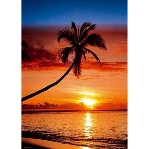 Sunset And Palm Tree Art print Silk poster Home Wall Decor