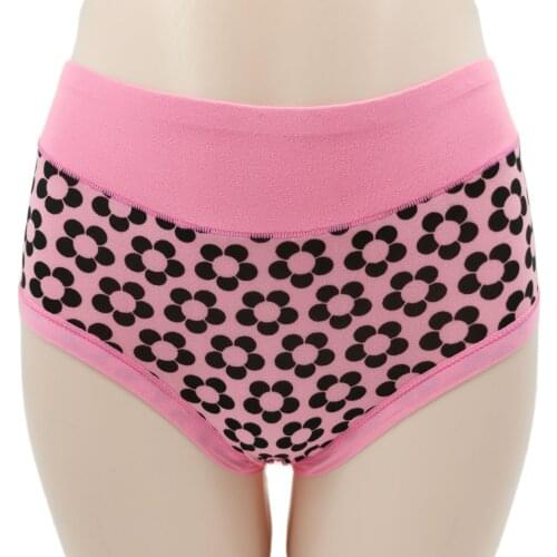 Big size panties for women plus size womens briefs woman cloth large underwear for woman Sexy lingerie Underpanties