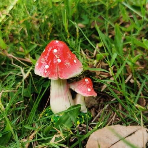 Super Mini Bright Red Mushroom Cultivation Potted Microlandscape Garden Decorative Flowerpot Ornaments Lovely